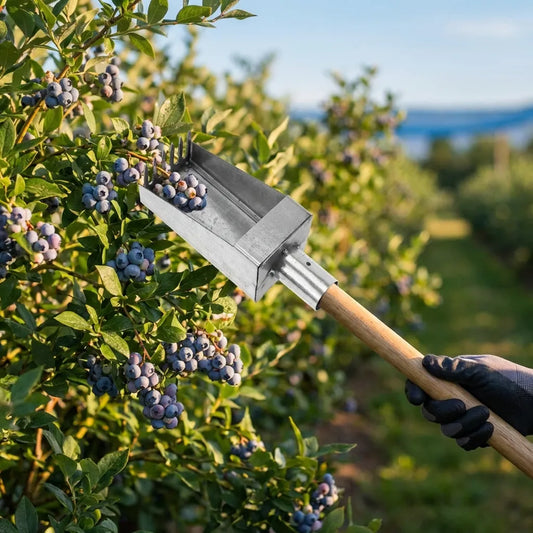 Stainless Fruit Picker