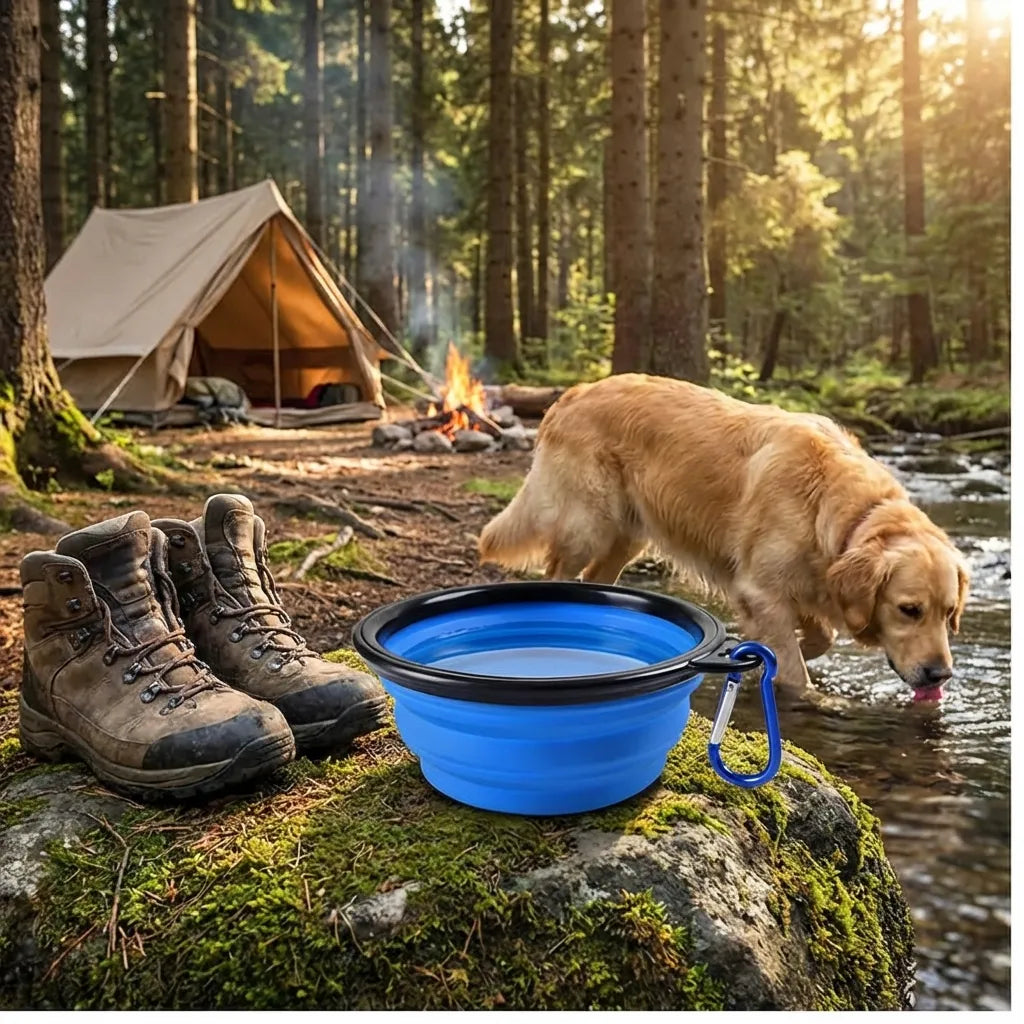 Portable Collapsible Pet Bowl