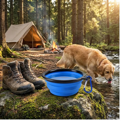 Portable Collapsible Pet Bowl