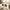 Suga Octagon Round Black Sunglass