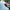 Car Glass Oil Film Cleaning Brush Automotive Glass