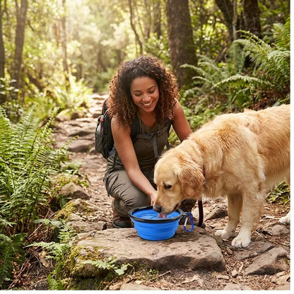 Portable Collapsible Pet Bowl