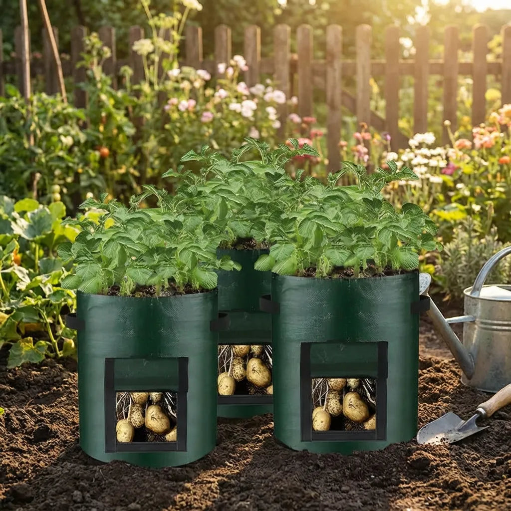 Potato Grow Bag with Harvest Window for Root Vegetables