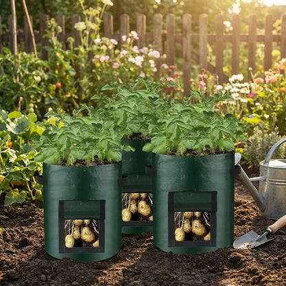 Potato Grow Bag with Harvest Window for Root Vegetables