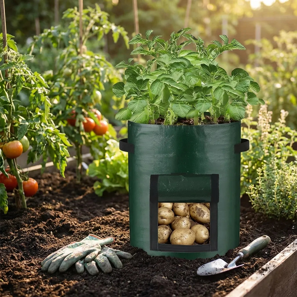 Potato Grow Bag with Harvest Window for Root Vegetables