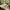 Best 9 pc pudding set - serveware | 2026 | fast shipping