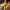 Battery-Operated Tea Lights