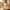 Bee Venom Cream – Pack of 2 (20g Each)