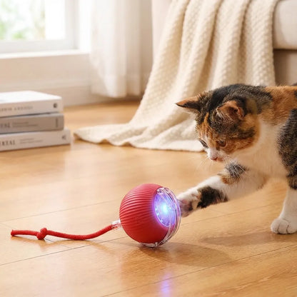 Viral Rolling Ball,Interactive Cat Ball Toy