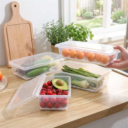Fridge Storage Containers Box 27*11.6*6.5cm (Pack of 2)