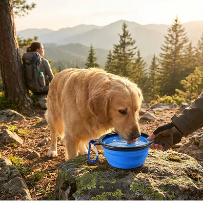 Portable Collapsible Pet Bowl