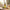 Ayurvedic Nabhi Therapy Oil