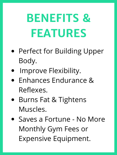 Fitbeast 2.0 (Push Up Board)