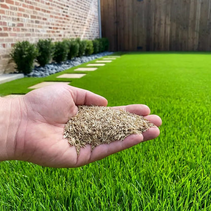 Fast-Growing Hybrid Grass Seeds