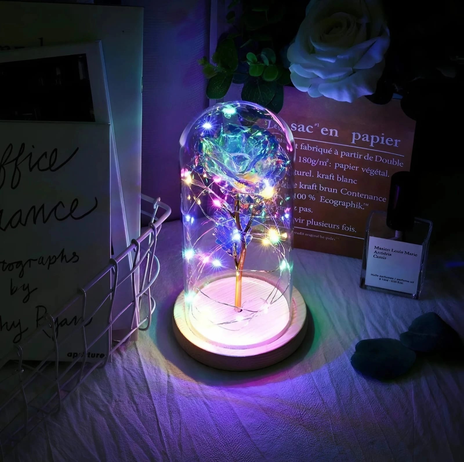 LED Rose Light Decor
