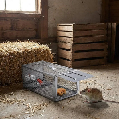 Mouse Trap