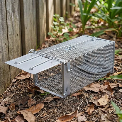 Mouse Trap Iron Cage Pinjra