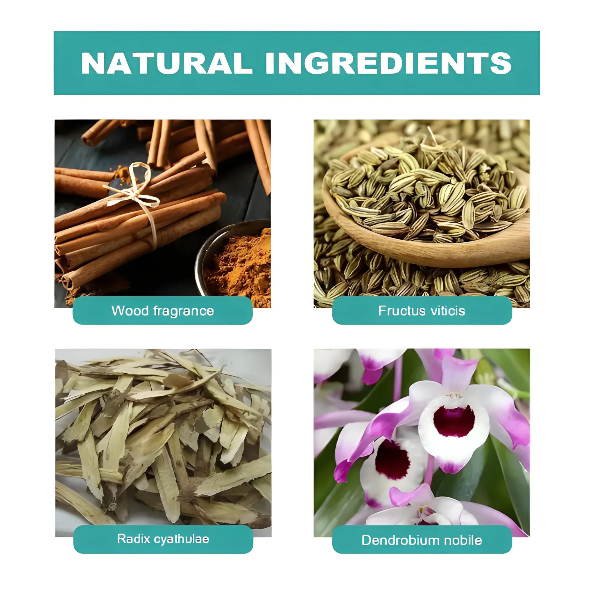 Herbal Ear Patch – Gentle Comfort