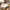 Best a4 copier paper pack - printer & | 2026 | fast shipping