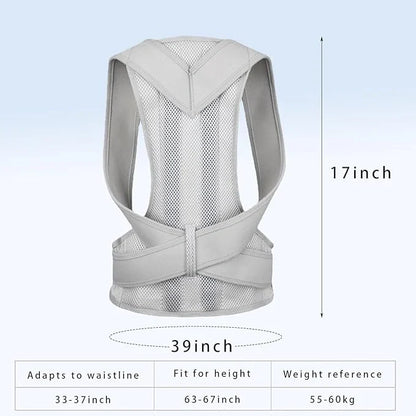 Adjustable Support Belt