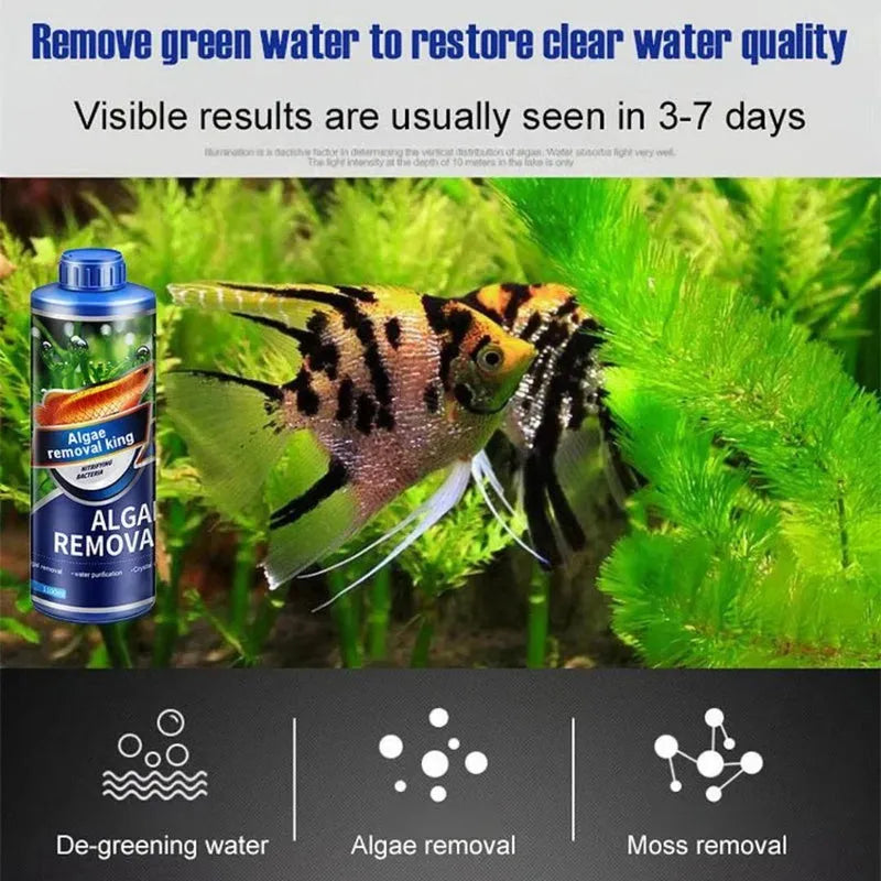 Algae Remover Fish Tank (Pack of 2)