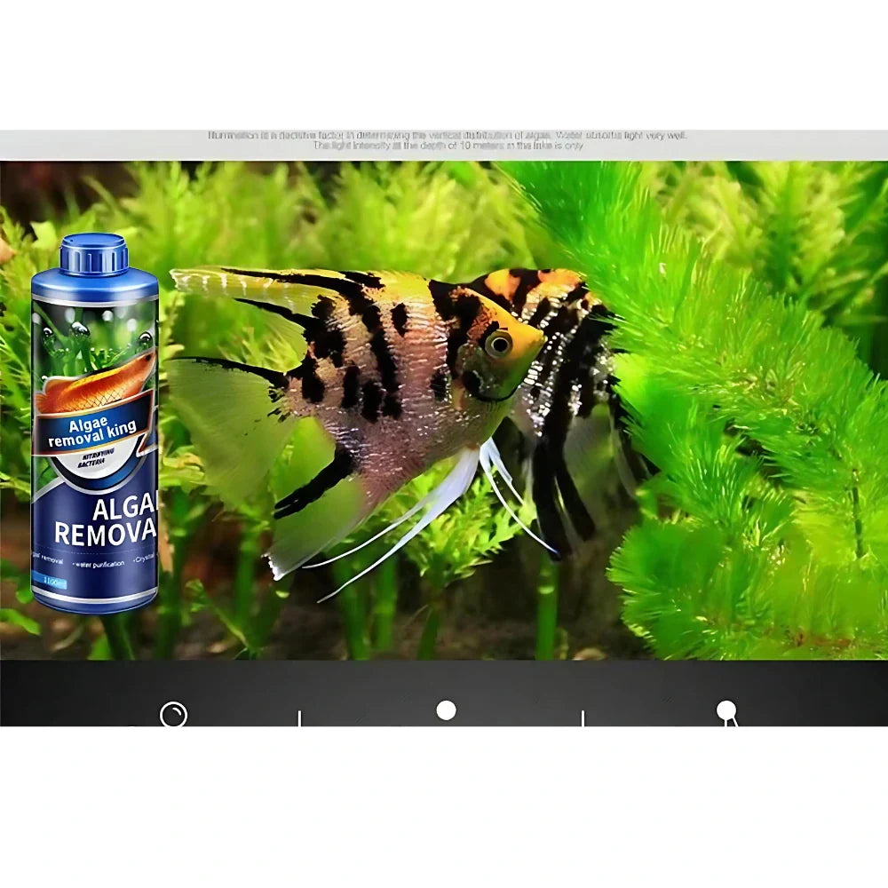 Algae Remover for Fish Tanks & Ponds