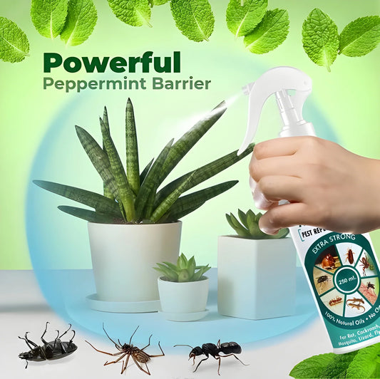 All Natural Pest Repellent Spray