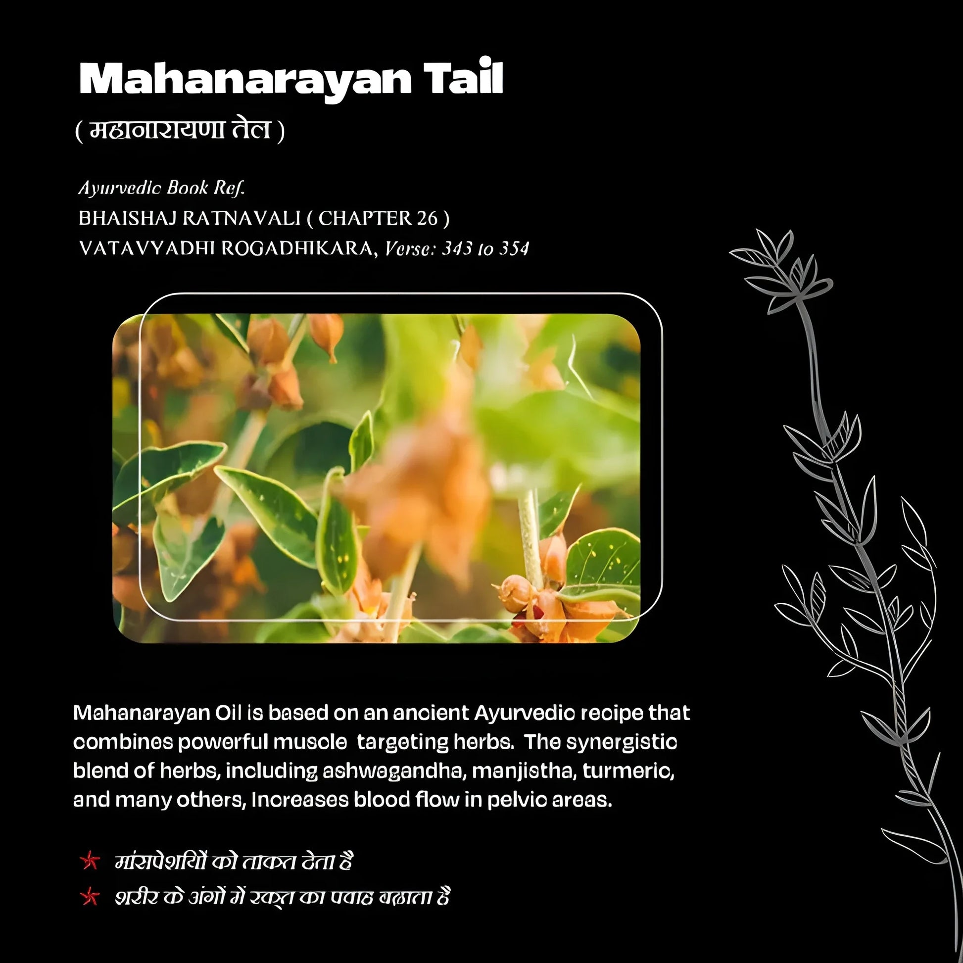 Anti Wrinkle Dark Spot Serum