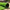 Best artificial grass turf – pack of 1 - rugs | 2026 | fast shipping