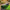 Best artificial grass turf – pack of 1 - rugs | 2026 | fast shipping