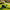 Best artificial grass turf – pack of 1 - rugs | 2026 | fast shipping