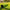 Best artificial grass turf – pack of 1 - rugs | 2026 | fast shipping