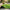 Best artificial grass turf – pack of 1 - rugs | 2026 | fast shipping