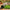 Best artificial grass turf – pack of 1 - rugs | 2026 | fast shipping
