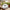 Best automatic electric fly trap - traps | 2026 | fast shipping