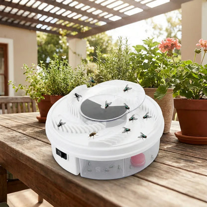 Best automatic electric fly trap - traps | 2026 | fast shipping