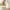 Best automatic mini mop - mops | 2026 | fast shipping