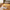 Best automatic mini mop - mops | 2026 | fast shipping