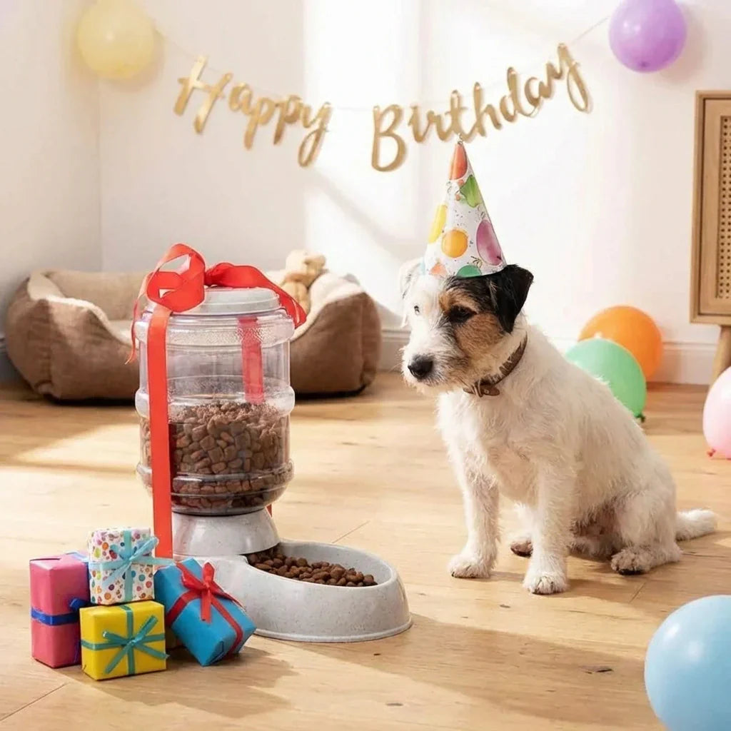 Best automatic pet food dispenser - feeders | 2026 | fast shipping