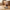 Best automatic pet food dispenser - feeders | 2026 | fast shipping