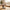 Best automatic pet food dispenser - feeders | 2026 | fast shipping