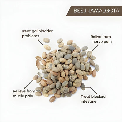 Ayurvedic Hair Growth Powder
