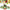 Best birthday paper plates set - party supplies | 2025 | fast shipping