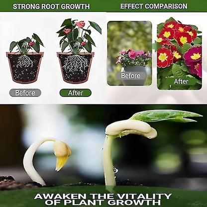Bloom & Fruit Booster