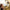 Best bluetooth selfie tripod - sticks | 2026 | fast shipping