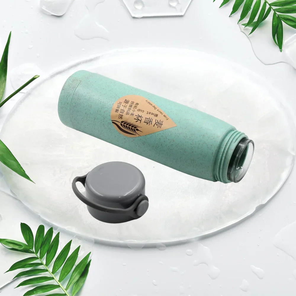 Best borosilicate glass water bottle - bottles | 2025 | fast shipping