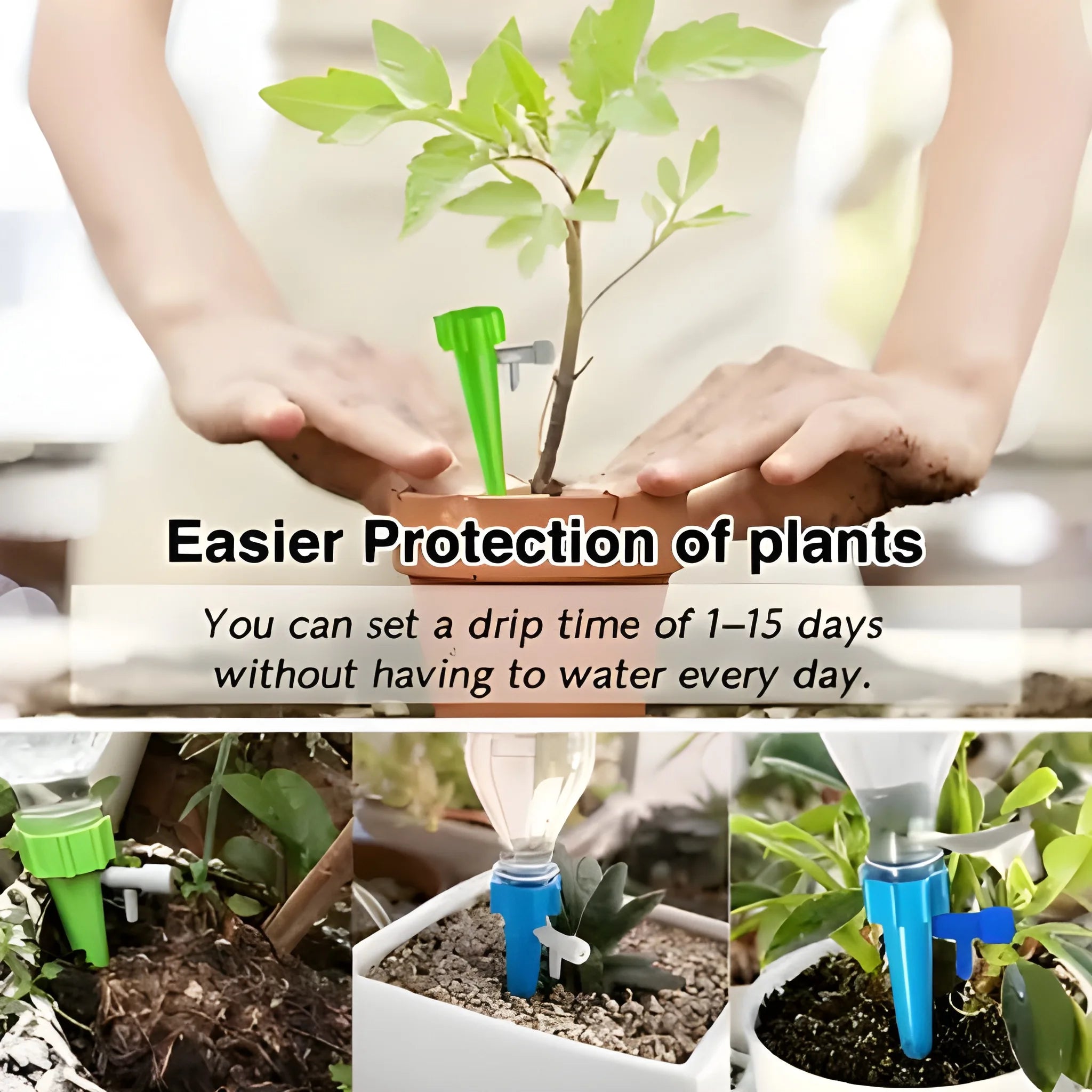 Self Watering Plant Spikes