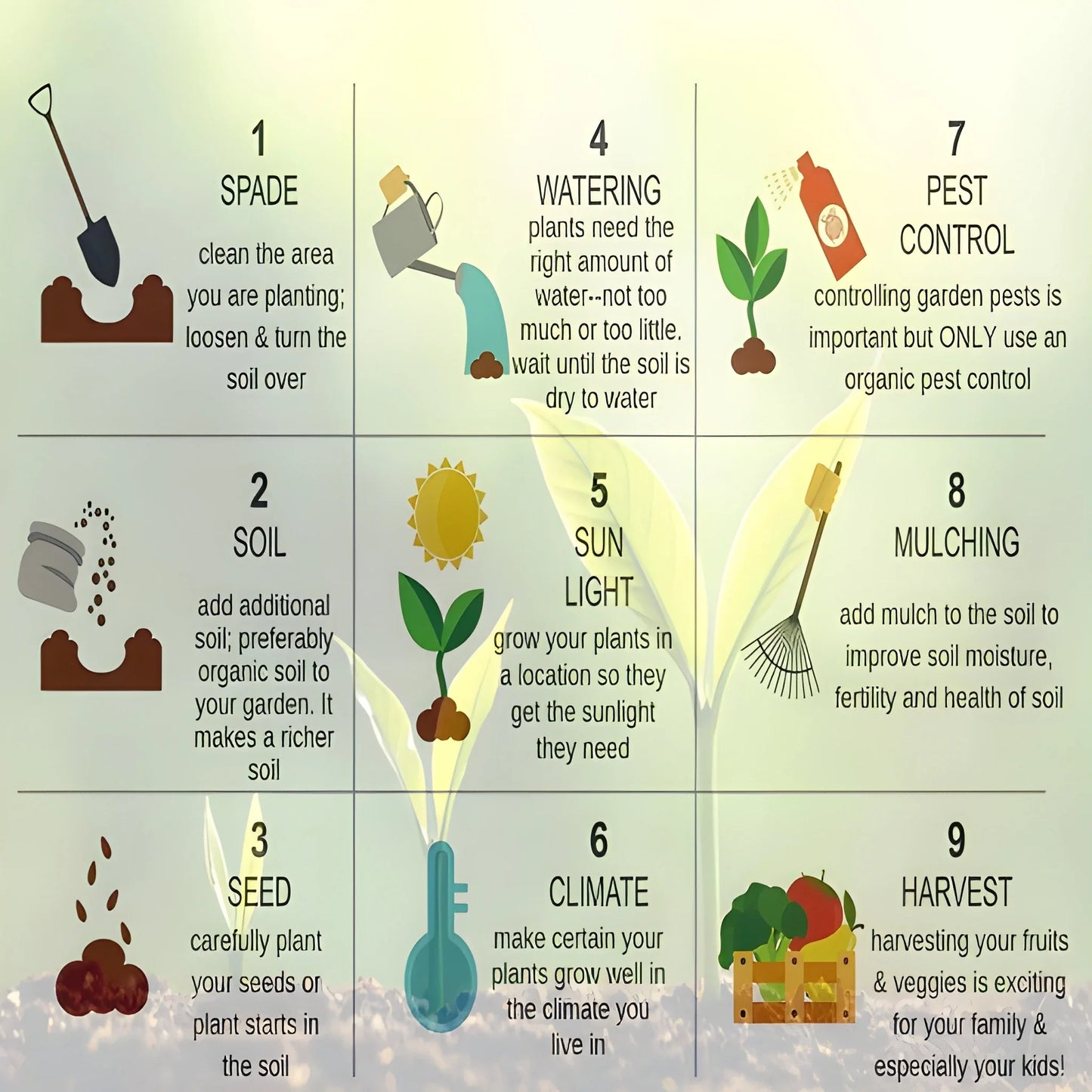 Cascading Tomato Vine Seeds