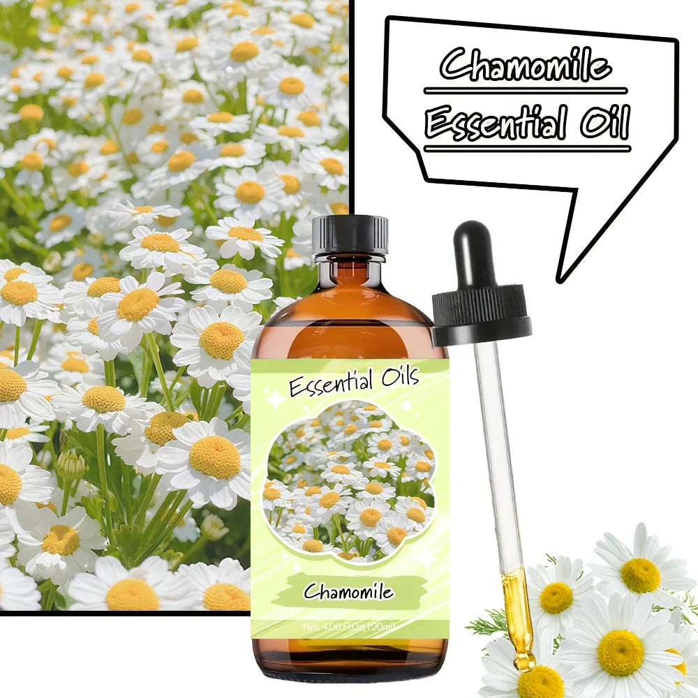 Chamomile Sleep Body Essential Oil 60ml Oil