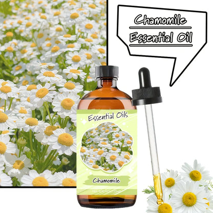 Chamomile Sleep Body Essential Oil 60ml Oil